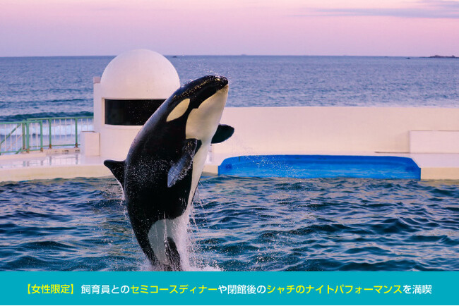 【鴨川シーワールド】2024年3月11日（月）より「レディースナイトプラン」予約受付を開始
