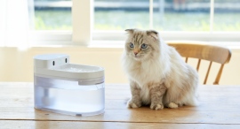 株式会社オーエフティーが、自動ネコトイレ「CATLINK」と連動して愛猫の体調管理ができる自動給水器「CATLINK ワイヤレスファウンテン」を3月6日に発売