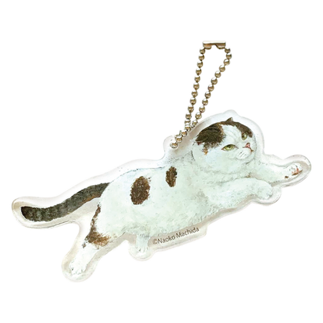１７冊の絵本の原画など約２７０点を展示　本展のための描き下ろし作品も！「隙あらば猫　町田尚子絵本原画展」大丸京都店で開催
