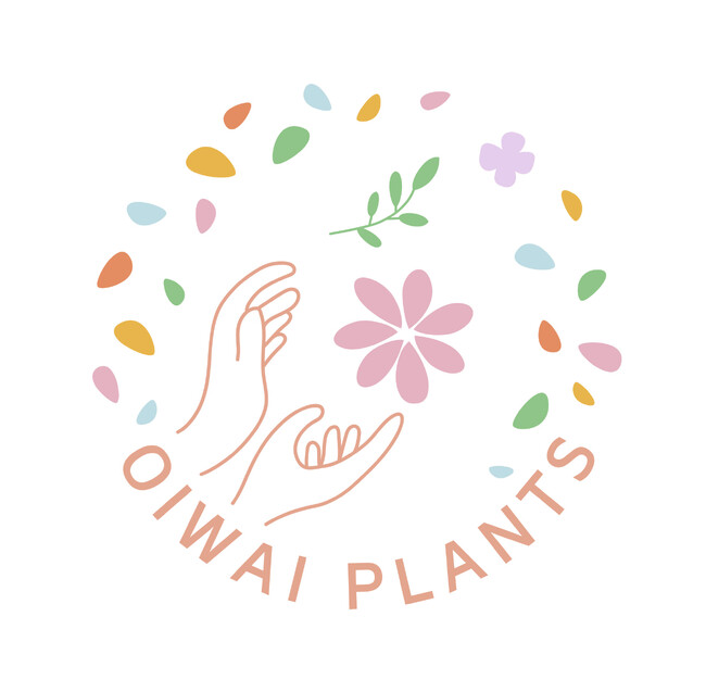 法人向けお祝い花・お祝い鉢とりまとめサービス「OIWAI PLANTS」のローンチから1周年を迎えるにあたり、新たにサービスロゴを作成しました。