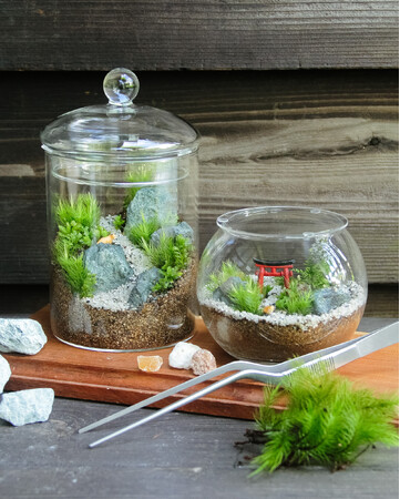 【ホテルメトロポリタン 鎌倉】「苔テラリウム」製作体験付き宿泊プラン販売