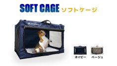 プラスチック成型のニッセイエコ、ファイテン株式会社とのペット用コラボ製品を販売！「インターペット2024」に出展