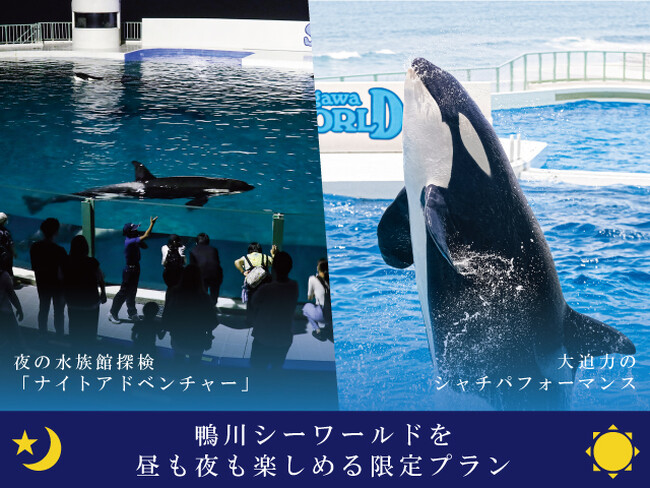 【鴨川シーワールド】2024年3月25日（月）～27日（水）の3日間限定！春休みの平日に日帰りで楽もう！「水族館探検プラン」ご予約受付中