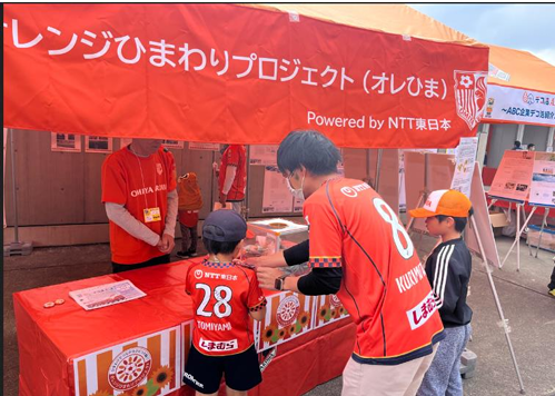 「福島ひまわり里親プロジェクト」へのひまわりの種の寄贈について