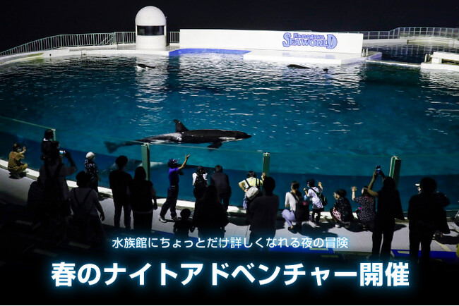 【鴨川シーワールド】水族館にちょっとだけ詳しくなれる夜の冒険にでかけてみませんか？ 夜の水族館ガイドツアー「ナイトアドベンチャー」