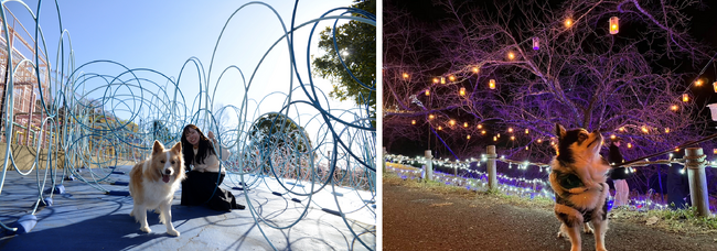 さがみ湖リゾート プレジャーフォレスト 本日3/12(火)から、大型犬を含む全犬種が入園可能に