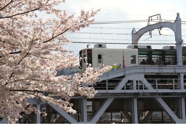 隅田川橋梁「サクラトレイン」を運転します！