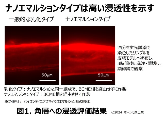 油分を極小サイズ化　水への安定配合に成功