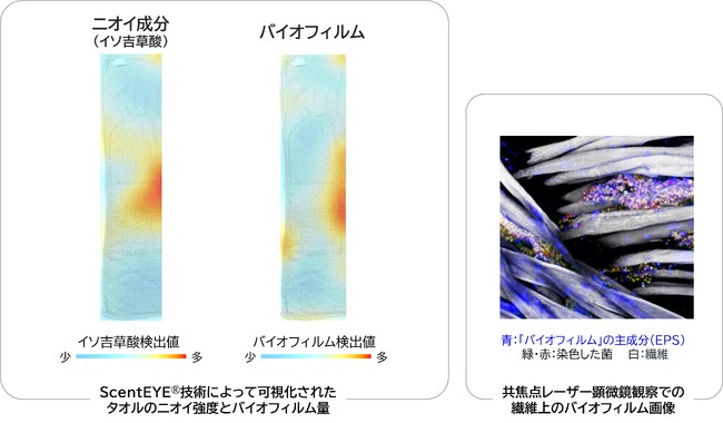 洗っても落ちないタオルの嫌なニオイはバイオフィルムとともに局在