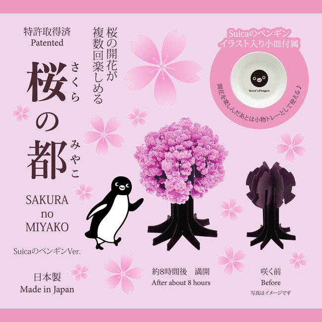 おうちで桜の開花が楽める！「桜の都」Suicaのペンギンver.