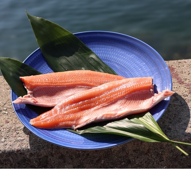 旬を迎える淡路島発ブランド食材「淡路島サクラマス」と鳴門海峡で育った「桜鯛」　休暇村南淡路では、紅白で華やかな 会席「鳴門・淡路島サクラ会席」を3月25日より提供開始