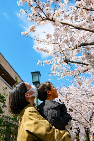 【東京・大田区】桜の名所を駆け抜けるマラニックツアーを開催!!