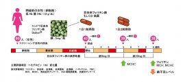 グラフィカルアブストラクト