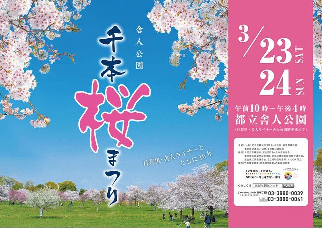 【東京都足立区】1,000本の桜の下で春を満喫!「舎人公園千本桜まつり」を開催します