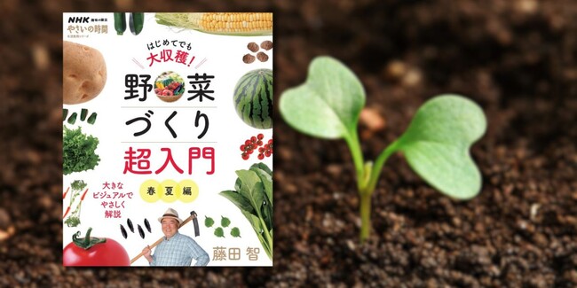 一番やさしい家庭菜園の入門書『NHK趣味の園芸やさいの時間 はじめてでも大収穫！ 野菜づくり超入門 春夏編』3月18日発売