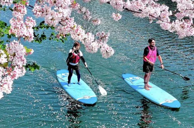 【アソビュー！遊びの調査リリース】「桜を満喫できる体験」特選を発表。今、遊びに行くならここ！桜を食べるたい焼き作りから桜を見下ろす気球まで！