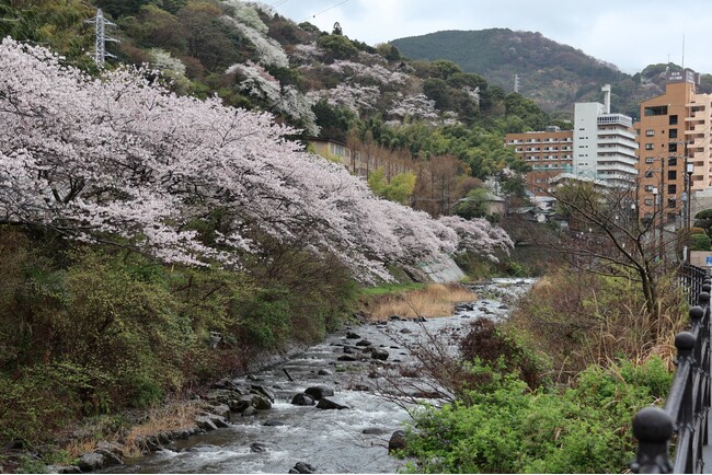 【奥湯河原温泉　山翠楼SANSUIROU】2024春の山翠楼おもてなし夕食膳