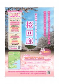 春満開!東伊豆で見られる400mの「桜回廊」で感動体験!