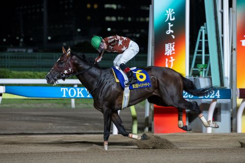 東京シティ競馬2024年度事業計画を発表。「3歳ダート三冠競走」がいよいよ幕開け!