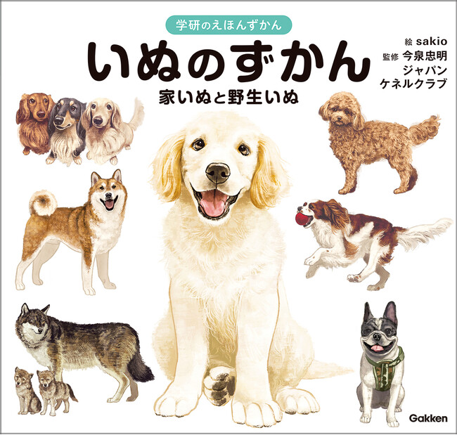 ＼わんわん大集合の絵本図鑑／ 『いぬのずかん 家いぬと野生いぬ』登場！　リアルかわいいイラストで学べる絵本のような図鑑