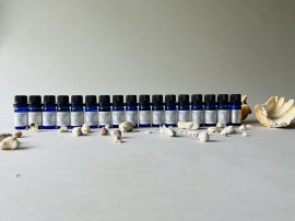 アロマ ヨガスプレーに使われるThousand Snowの精油 アロマ ヨガスプレーに使われるThousand Snowの精油