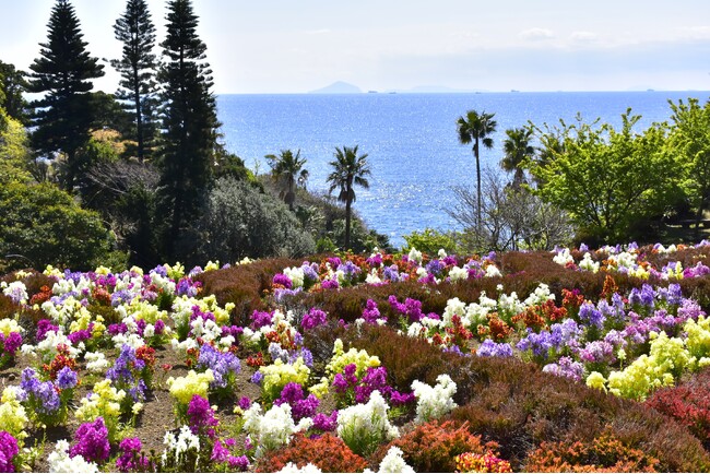 ニューヨークランプミュージアム&フラワーガーデンに華やかなフラワーシーズンが到来