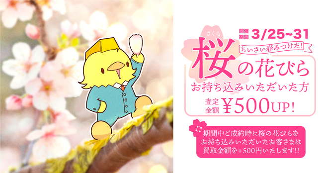 【ゴールドプラザ】春の到来！桜の花びらをご提示でキャッシュバックキャンペーン！！