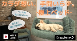 洗える抗菌防臭ペットベッド「DoggyBase」2024年3月25日よりMakuakeにて先行受付開始