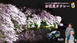 kmタクシー「お花見タクシー」 kmタクシー「お花見タクシー」