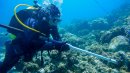 約400年前の沈没船から水中文化遺産を発掘・保護するプロジェクトのスポンサード 約400年前の沈没船から水中文化遺産を発掘・保護するプロジェクトのスポンサード