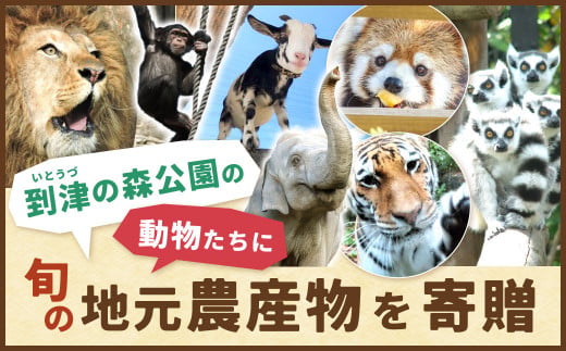 ふるさと納税により、地元の旬な農産物を「到津の森公園」の動物たちに届けます！