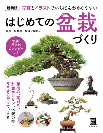 せっかく日本に生まれてきたのに、盆栽を知らないのはもったない！世界で広がる盆栽人気！ 写真とイラストでわかりやすい盆栽づくりの本、発売