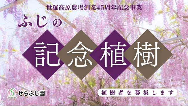 【広島/世羅】ふじの記念植樹 植樹者1組募集《せらふじ園》