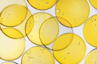 アラキドン酸含有量を規格化した「アラキドン酸パウダー10E」の販売を開始