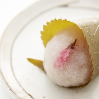 春限定!〈たねや〉から桜の和菓子が登場!松坂屋上野店 最旬グルメ
