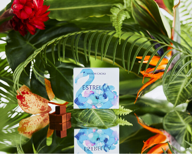 メゾンカカオのスプリングコレクション【ボタニカル】が4月より登場。カカオ産地 コロンビアの豊かな生態系を限定の味わいとアートに込めてお届けします。