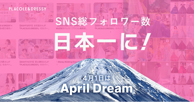 「PLACOLE & DRESSY」ブランドを展開する冒険社プラコレ、SNS総フォロワー数日本一を達成！