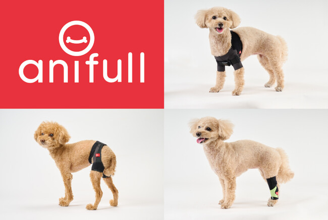 【株式会社anifull】動物用サポーター3種の短納期を実現！オーダーメイドで蓄積したデータを基に既製品化