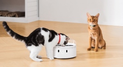 横取りや食べすぎを防ぎ、ペットの給餌管理を楽に！「横取り防止 自動給餌器 CATLINK RFID PET Feeder」を4月2日に新発売