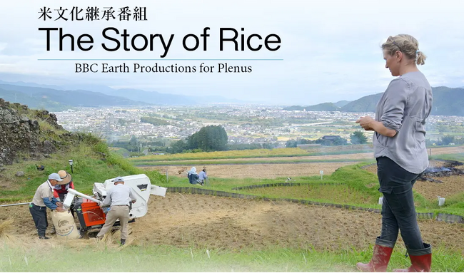 「プレナス」米文化継承活動　オンラインイベント「The Story of Rice」上映会＆「トキの暮らす島・佐渡の米文化と里山の風景」 トークイベント開催