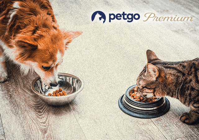 「ペットゴープレミアム(petgo Premium)」サイト開設のお知らせ
