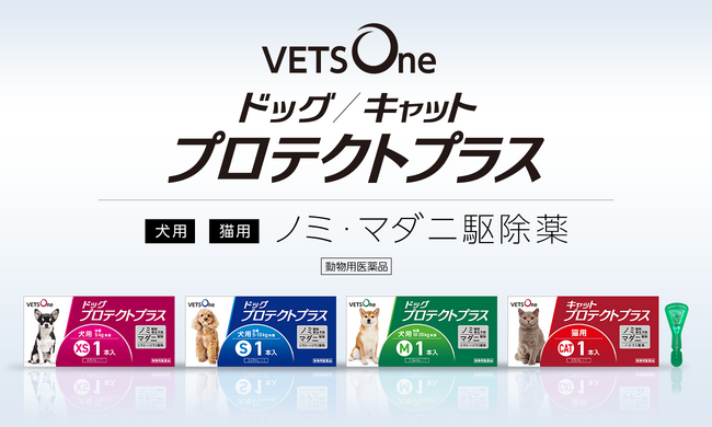 ペットゴー、犬猫用ノミ・マダニ駆除薬「ベッツワン プロテクトプラス」からお試ししやすい1本入りを新発売