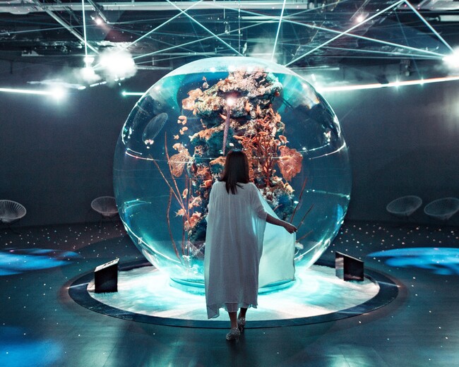 ゴールデンウィーク期間はいつもより1時間早くOPEN!【神戸の水族館|アトア】