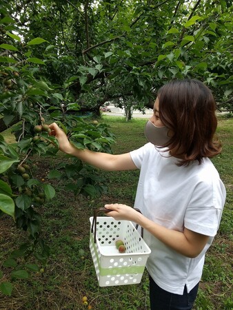 梅酒作り＆異国情緒＆お買物満喫ツアー【6/8（土）大宮発着・6/15（土）川越発着】