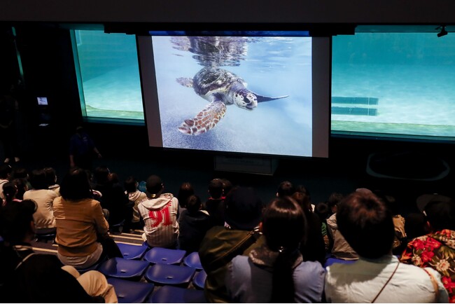 【鴨川シーワールド】飼育の日(4/19)と第65回科学技術週間への協賛行事として「飼育の日」・「科学技術週間」特別イベント開催