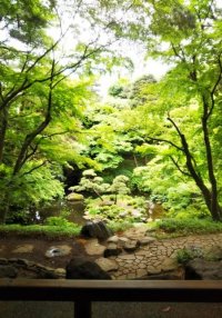 殿ヶ谷戸庭園の茶室で和花をいける特別なひと時。5/18(土)「武蔵野の初夏をいける」を開催します。