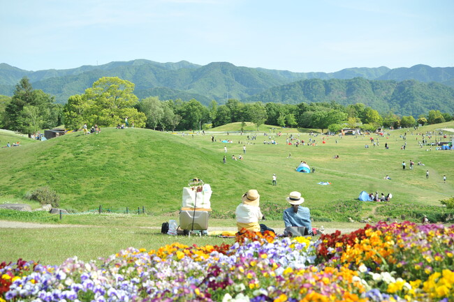公園を染め上げる春色花畑！ネモフィラ・チューリップがまもなく見頃です（国営讃岐まんのう公園）
