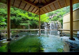 鯉が泳ぐ池を望める露天風呂