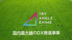 トライアングルエヒメ推進事業「デジタル実装加速化プロジェクト」　産業や暮らしなど多様な分野での新規採択を目指し、令和6年度の案件募集開始！