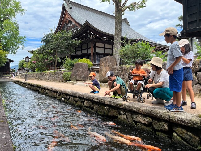 【岐阜県飛騨市】春到来!1000匹の鯉が飛騨古川「瀬戸川」に帰ってきました!